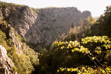 Harz dağlarındaki Bode Kanyonu 'nun güzel manzarası         