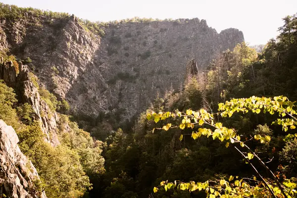 Harz dağlarındaki Bode Kanyonu 'nun güzel manzarası         