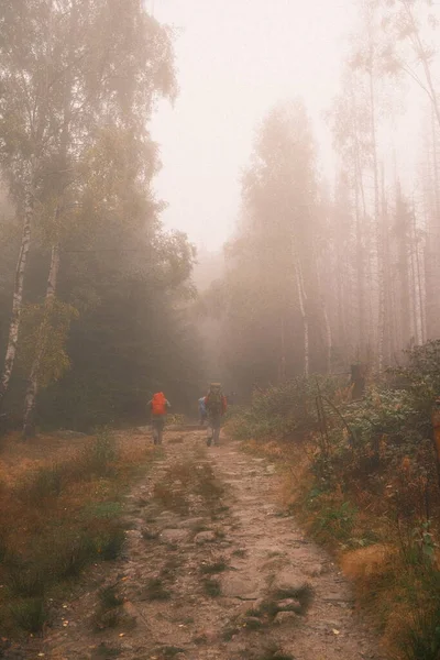 group of people walking on trail in misty forest