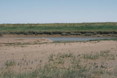 Kırsal kesimde yeşil ve kanallı güzel kırsal alan, ama jadingen, Almanya   