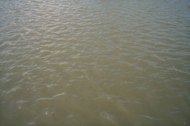 Güzel doğal su dokusu. doğa arkaplanı