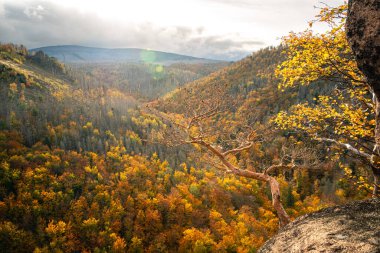 Dağlardaki güzel sonbahar ormanının havadan görünüşü 