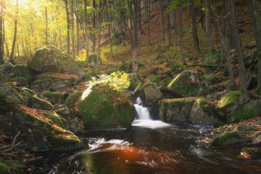 autumn view of waterfall and colorful forest clipart