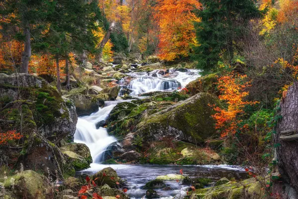 autumn view of waterfall and colorful forest