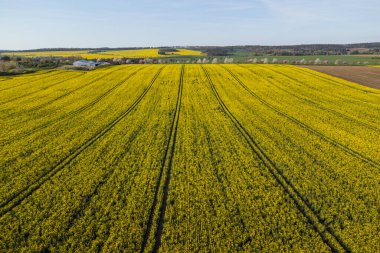 Sarı kırsal alanın havadan görünüşü 