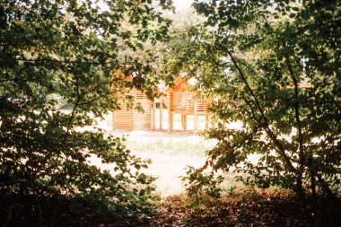 Parktaki yeşil yapraklar arasında oyun alanı görüntüsü 