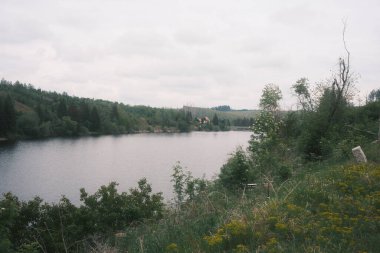Yazın, güneşli bir günde, ormandaki göl manzarası.