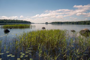 İsveç 'te güneşli bir günde göl manzarası
