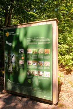 Ormanda yürüyüş haritası. İşaret panosunun görünümü 
