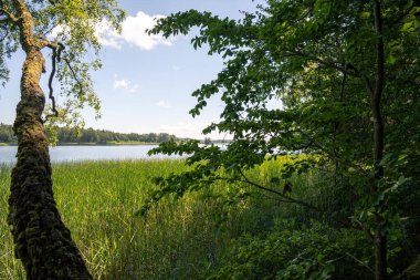 İsveç 'te güneşli bir günde göl manzarası