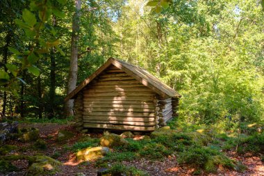 İsveç 'te yaz ormanlarında eski ahşap bir ev.