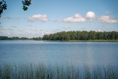 İsveç 'te yeşil ağaçlı ve mavi gökyüzü olan göl manzarası 