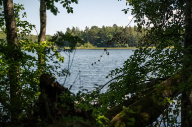 İsveç 'te güneşli bir günde göl manzarası