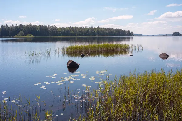 İsveç 'te güneşli bir günde göl manzarası