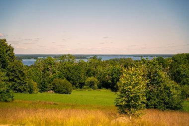Nehir ve bahar ormanlarının güzel manzarası