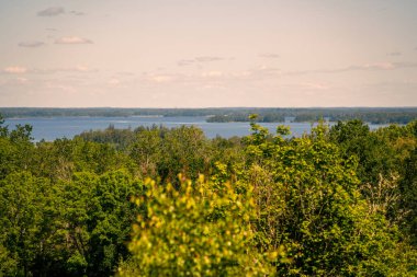 Nehir ve bahar ormanlarının güzel manzarası