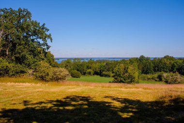 Nehir ve bahar ormanlarının güzel manzarası