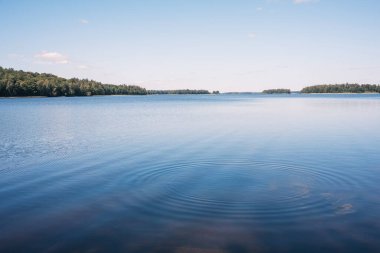 İsveç 'te güneşli bir günde göl manzarası