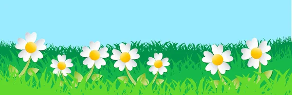 Rét Virágokkal Tavaszi Minta Banner — Stock Vector