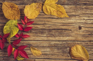 Bankta ölü yapraklar var. Ahşap arka planda sonbahar ve sonbahar