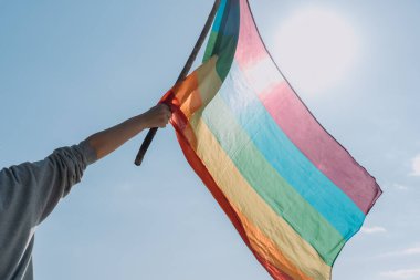 LGBTQ + bayrağı tutan bir kadın kolu resmi mavi gökyüzünün altında arka plan güneşli.