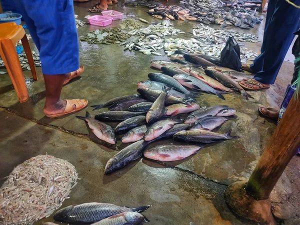Enorme Captura Peixe Carpa Rohu Mercado Indiano Peixe Para Venda — Fotografia de Stock