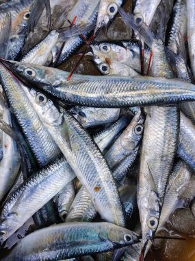 heap of fullbeak fish in a basket close up view HD