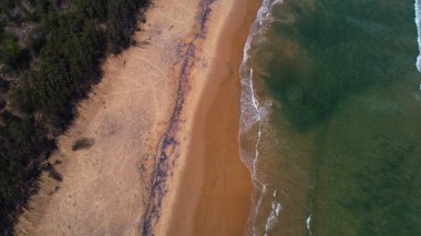 Goa deniz dalgalarının kumlu sahil şeridinde kırılışının kusursuz güzel görüntülerinin insansız hava aracı görüntüsü. Derin mavi okyanus suyu ve köpüklü dalgalarla dolu altın plaj.