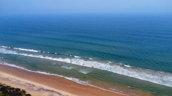 植林と美しい長い海岸線 Arial Drone View — ストック写真