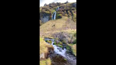 Seljalandsfoss waterfall in Iceland. Popular and beautiful waterfall along Route 1 and Ring Road. Seljalands River waters. Visitors can walk behind the falls and into cave. 