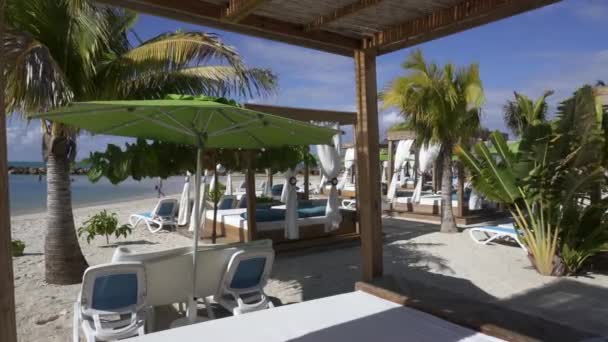 可以俯瞰加勒比海的海滩酒店 在树阴下放松 棕榈树 海滩床 Adrenaline Beach Labadee Haiti Private Resort — 图库视频影像