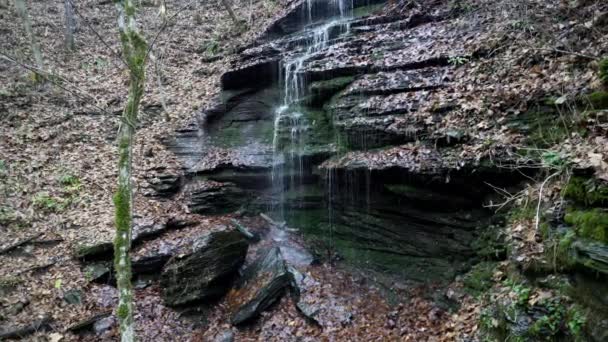 Fall Hollow Waterfall Auf Dem Natchez Trace Parkway Tennessee Wasserfälle — Stockvideo