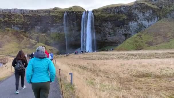 Seljalandsfoss Waterfall Iceland Popular Beautiful Waterfall Route Ring Road Seljalands — Stockvideo