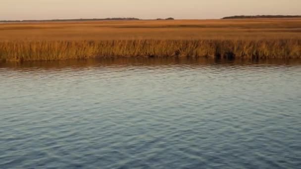 乔治亚州圣玛丽斯河的黄金时刻盐沼上的海草 Sea Grass Salt Marsh 缩写为 滨海盐沼 是位于陆海潮间带上游的沿海生态系统 — 图库视频影像