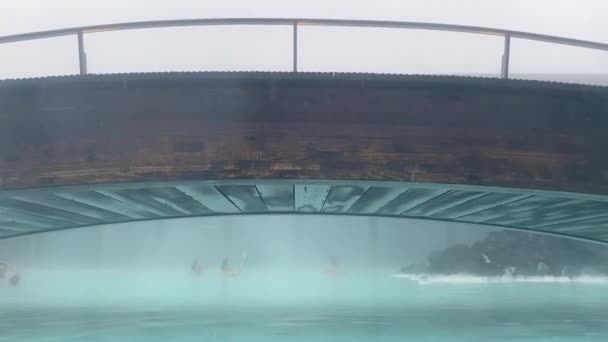 Zlanda Nın Güneybatısındaki Hvt Nehri Kanyonu Nda Gullfoss Şelalesi Popüler — Stok video
