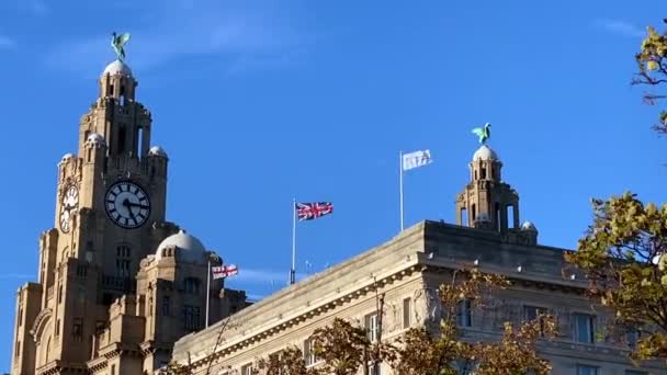 利物浦 皇家肝脏大楼 著名的码头头楼 钟和活鸟守卫着城市和大海 库纳德楼 三座宫殿中的两座 George Cross Union Jack — 图库视频影像