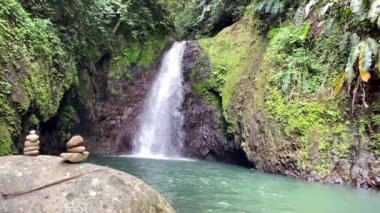 Grenada Grand Etang Ulusal Parkı 'nda Yedi Kardeş Şelalesi. Grenada 'nın en güzel bölgelerinden birinde bir şelale dağ yamacından aşağı yüzmek için mükemmel bir havuza akıyor..
