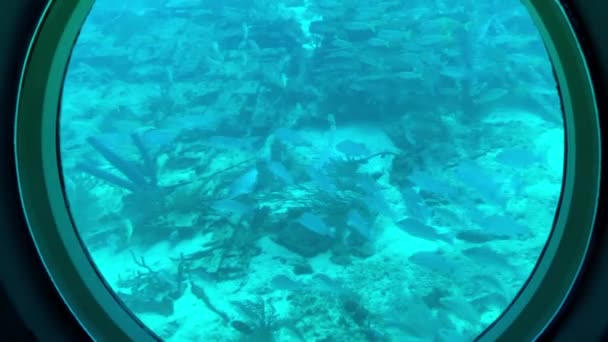 Blick Von Aussichtsportalen Auf Das Boot Atlantis Auf Aruba Kanadische — Stockvideo