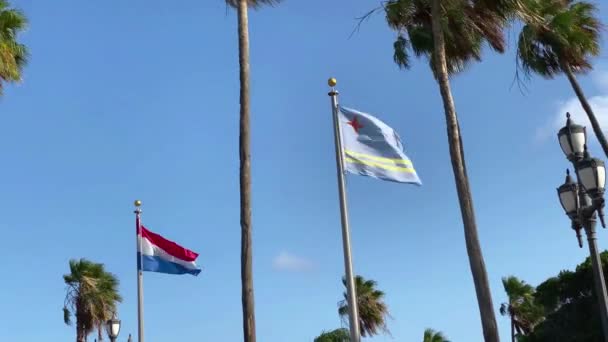Flaggor Från Aruba Och Nederländerna Som Seglar Oranjestad Aruba Land — Stockvideo