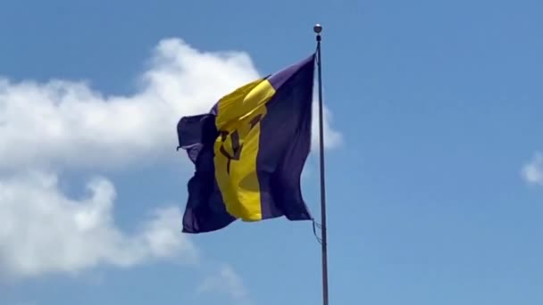 バルバドスの国旗は1966年11月30日に発表され 島初の独立記念日となった 黒の壊れたトライデントとウルトラマリンと金の部族 海と空の青砂の黄色 — ストック動画