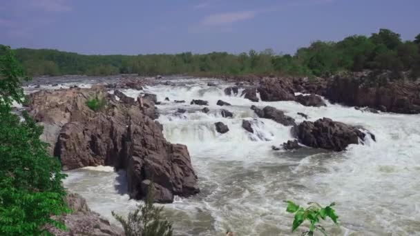 维吉尼亚的大瀑布公园和马瑟峡谷波托马克河落在一系列陡峭的 锯齿状的岩石上 流过狭窄的峡谷 华盛顿特区峡谷 以斯蒂芬 马瑟的名字命名 — 图库视频影像