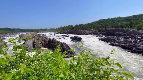 バージニア州のグレートフォールズ公園とマザー渓谷 ポトマック川は急峻でギザギザの岩が連なり 狭い峡谷を流れている ワシントンDc地域の峡谷スティーブンTマザーにちなんで命名 — ストック動画