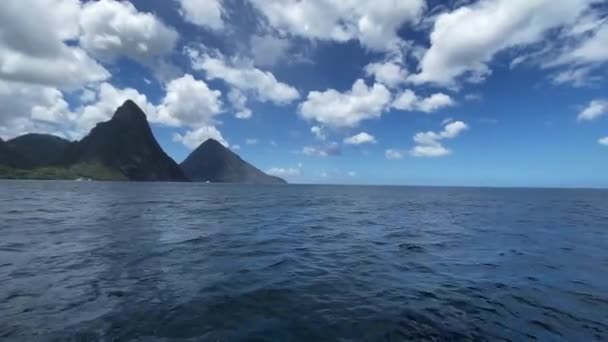Aziz Lucia Pitonları Sudan Görüldüğü Gibi Pitonlar Saint Lucia Bulunan — Stok video