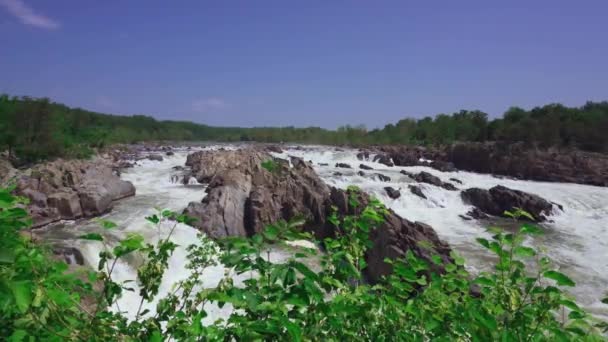 Great Falls Park Dan Mather Gorge Virginia Sungai Potomac Jatuh — Stok Video