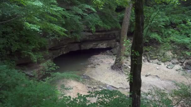Russell Cave National Monument Alabama Usa Caverna Della Bocca Aperta — Video Stock