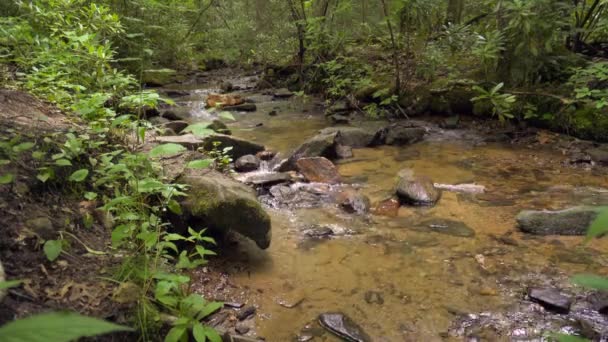 Fluss Fließt Der Nähe Der Wigwam Falls Yankee Horse Ridge — Stockvideo