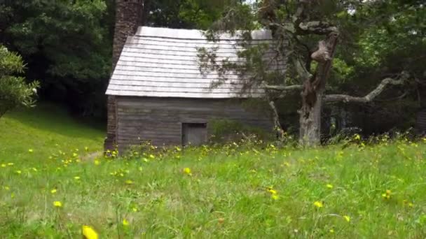 蓝岭大道上的布林卡宾 这个小木屋是马丁 布林诺瓦建造的 是一座真正的山居 游客可以在那里一睹山水的生活 黄色的蒲公英在风中飘扬 — 图库视频影像