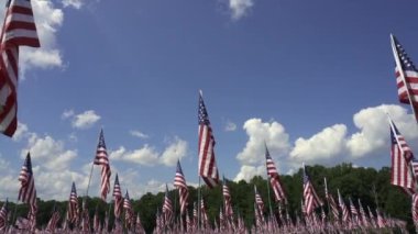 Kennesaw Dağı Ulusal Savaş Parkı, Georgia: 11 Eylül onuruna 9-11 Bayrak Sahası. Terörizm saldırılarının her kurbanı için bir bayrak. İç Savaş Atlanta Sefer Alanı.