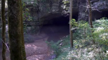 Russell Mağarası Ulusal Anıtı, Alabama, ABD. Açık ağızlı mağara, tarihöncesi kızılderililerin kolonileşme yoluyla güneydoğuda bilinen en eski insan yerleşimlerinden korunmaları için bir sığınaktı. Sisli 