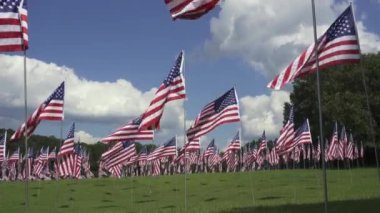 Kennesaw Dağı Ulusal Savaş Parkı, Georgia: 11 Eylül onuruna 9-11 Bayrak Sahası. Terörizm saldırılarının her kurbanı için bir bayrak. İç Savaş Atlanta Sefer Alanı.